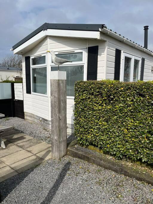 Chalet + Tiny House Nabij Strand Petten Εξωτερικό φωτογραφία