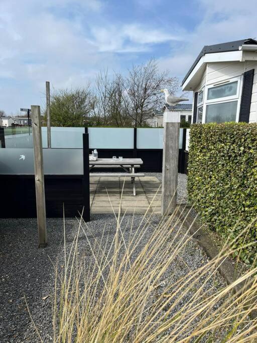 Chalet + Tiny House Nabij Strand Petten Εξωτερικό φωτογραφία