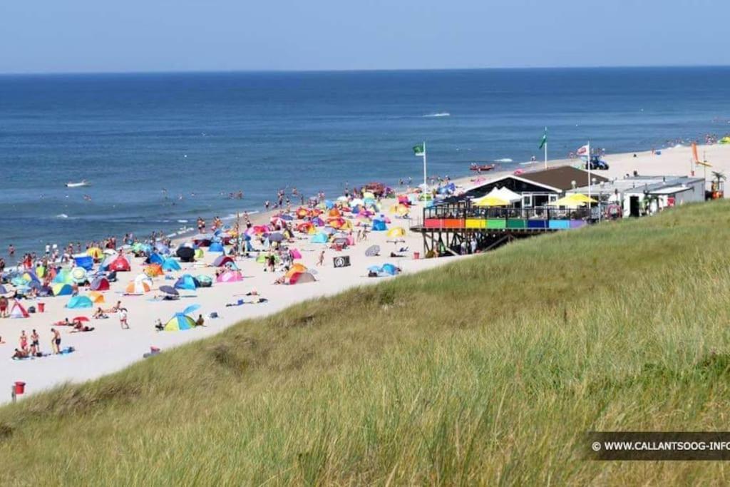 Chalet + Tiny House Nabij Strand Petten Εξωτερικό φωτογραφία